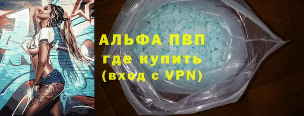 гашик Алексеевка