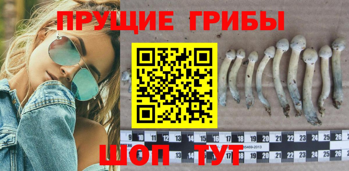 Псилоцибиновые грибы Cubensis  Галлюциногенные грибы Psilocybe  Вход с VPN  Углич 